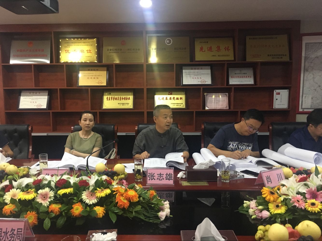 5.重慶市水利局張志雄處長（專家組組長）發言.jpg